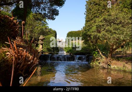 Japanischer Wassergarten in Newstead Abbey, Nottinghamshire, Großbritannien Stockfoto