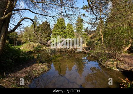 Japanischer Wassergarten in Newstead Abbey, Nottinghamshire, Großbritannien Stockfoto