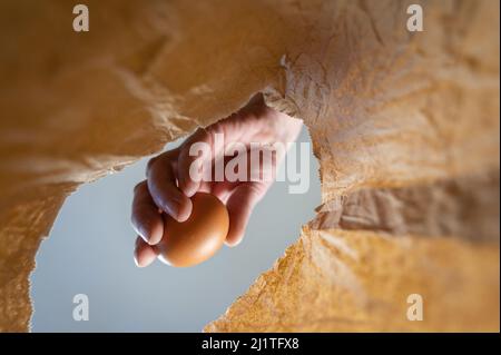 Eine Hand legt ein Hühnereier in einen Papierbeutel. Die Hand eines reifen Mannes hält ein braunes Ei über einem offenen braunen Beutel. Von unten nach oben geschossen. Nahaufnahme. Selektiv Stockfoto