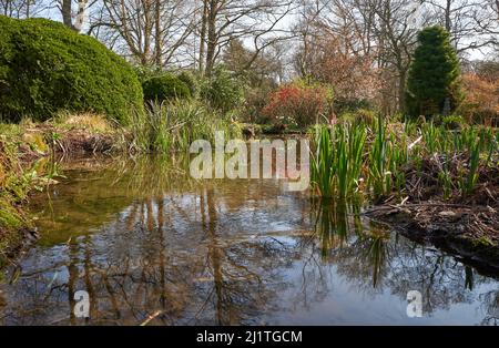 Japanischer Wassergarten in Newstead Abbey, Nottinghamshire, Großbritannien Stockfoto