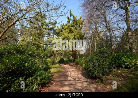 Pfad in einem Ziergarten in Newstead Abbey, Nottinghamshire, Großbritannien Stockfoto