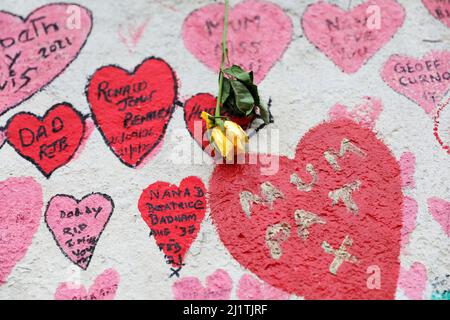 London, Großbritannien. 27. März 2022. Eine Blume ist auf der National COVID Memorial Wall in London, Großbritannien, am 27. März 2022 zu sehen. Kredit: Li Ying/Xinhua/Alamy Live Nachrichten Stockfoto