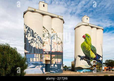 Regent Parrot and Trees Silo Art, Waikerie, South Australia, Australien Stockfoto