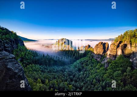 Nebelbedeckte Landschaft mit Felsformationen und der Gipfel Rauschenstein im Schmilka-Gebiet des Nationalparks Sächsische Schweiz bei Sonnenaufgang. Stockfoto