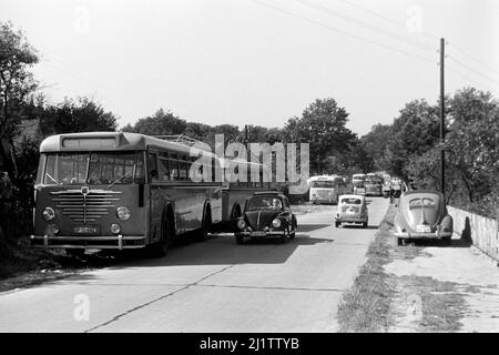 Besucher in der Lüneburger Heide, 1957. Besucher der Lüneburger Heide, 1957. Stockfoto