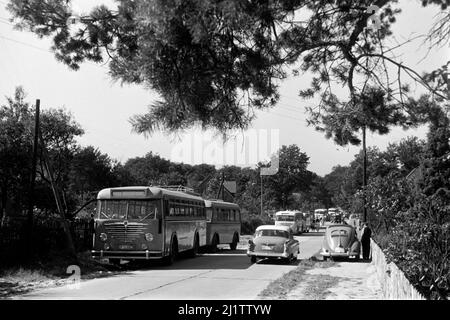 Besucher in der Lüneburger Heide, 1957. Besucher der Lüneburger Heide, 1957. Stockfoto