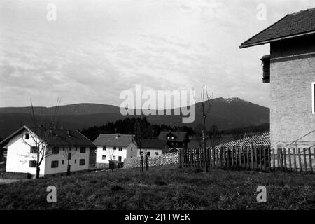 Blick auf den Bayerischen Wald im Zwieseler Umland, 1958. Blick auf den Bayerischen Wald am Stadtrand von Zwiesel, 1958. Stockfoto