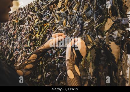 LVIV, UKRAINE - 17. März 2022: Freiwillige Hände wegenden Tarnnetz für die ukrainischen Streitkräfte. Handgefertigtes Maskennetz aus naturfarbenem Stockfoto
