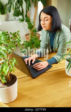 Frau Floristin mit Topfpflanze arbeitet auf einem Laptop in Blumenpflanzengeschäft, Werkstatt, verkauft im Blumengeschäft beschäftigt sich mit einem Hobby, Blumenpflanze sto Stockfoto