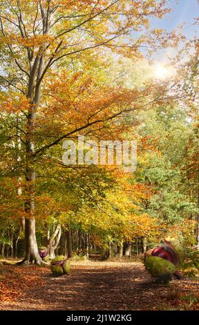Erstaunliche Herbstwälder, Buchen und Blätter, die goldorange und rot werden. Morgensonnenaufgangslicht und massive überdimensionale Conker fielen auf den Boden Stockfoto