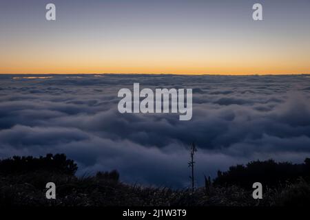 Niedrige Wolke unter den Bergen vor Sonnenaufgang, über den Wairarapa Ebenen, Holdsworth-Jumbo Circuit, Tararua Ranges, North Island, Neuseeland Stockfoto