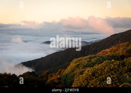 Niedrige Wolke unter den Bergen, über den Wairarapa Ebenen, Holdsworth-Jumbo Schaltung, Tararua Ranges, North Island, Neuseeland Stockfoto