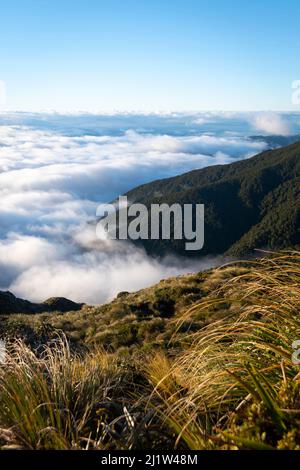 Niedrige Wolke unter den Bergen, über den Wairarapa Ebenen, Holdsworth-Jumbo Schaltung, Tararua Ranges, North Island, Neuseeland Stockfoto