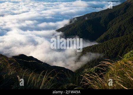 Niedrige Wolke unter den Bergen, über den Wairarapa Ebenen, Holdsworth-Jumbo Schaltung, Tararua Ranges, North Island, Neuseeland Stockfoto
