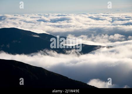 Niedrige Wolke unter den Bergen, über den Wairarapa Ebenen, Holdsworth-Jumbo Schaltung, Tararua Ranges, North Island, Neuseeland Stockfoto