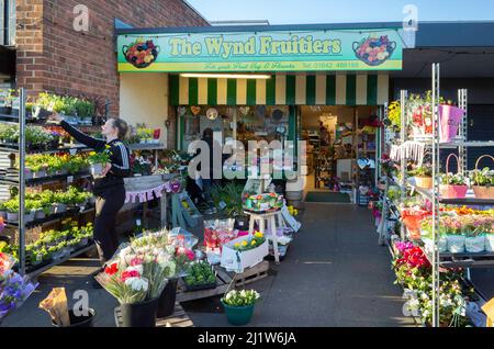 Ein lokales Gemüsehändler-Geschäft in Marske am Meer North Yorkshire mit einer starken Ausstellung von Gartenbezügen und Topfpflanzen. Stockfoto