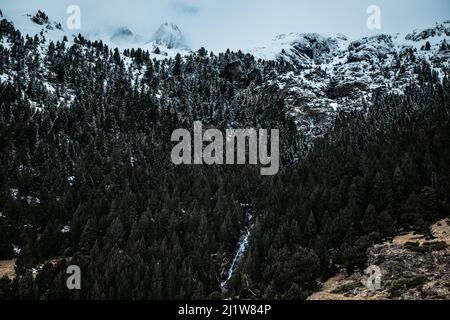 Landschaftlich schöne Luftaufnahme von rauen Bergen mit dichtem Wald von grünen Bäumen, die mit Schnee bedeckt sind Stockfoto