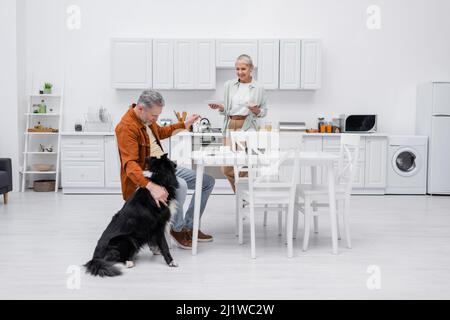 Lächelnde ältere Frau hält Teller in der Nähe des Ehemannes und streichelt in der Küche einen Border Collie Stockfoto