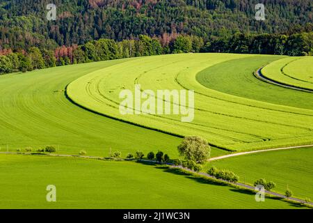 Landschaft mit grünen Feldern und Wäldern im Nationalpark Sächsische Schweiz. Stockfoto