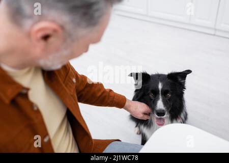 Blick aus der Perspektive auf unscharfe Männer, die in der Küche einen Border Collie streicheln Stockfoto