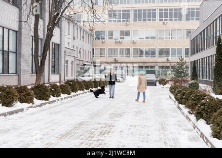 Reifer Mann hält den Ball in der Nähe von Border Collie und Frau auf der Straße im Winter Stockfoto