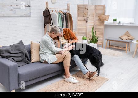 Fröhliches Paar, das zu Hause mit einem Border Collie-Hund auf der Couch spielt Stockfoto