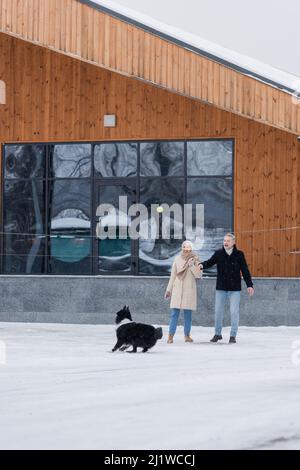 Mann mittleren Alters wirft Ball zu Border Collie in der Nähe Frau im Winter im Freien Stockfoto