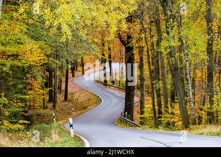 Eine kurvenreiche Straße, die im Herbst durch bunte Bäume im Nationalpark Sächsische Schweiz führt. Stockfoto