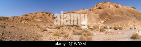 Negev Desert Landscape fotografiert am Wadi Peres Ein saisonales Flussbett in der nordöstlichen Negev-Wüste an der südlichen Grenze der jüdischen Wüste. Stockfoto