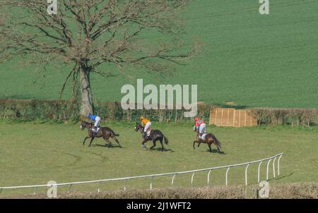 Curre und Llangibby Point-to-Point in Howick, in der Nähe von Chepstow, Südwales Stockfoto