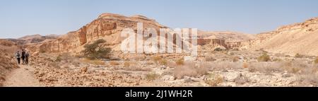 Einsame Akazienbäume in der Negev-Wüstenlandschaft fotografiert am Wadi Peres Ein saisonales Flussbett in der Nördlichen Easter-Negev-Wüste an der Südgrenze Stockfoto