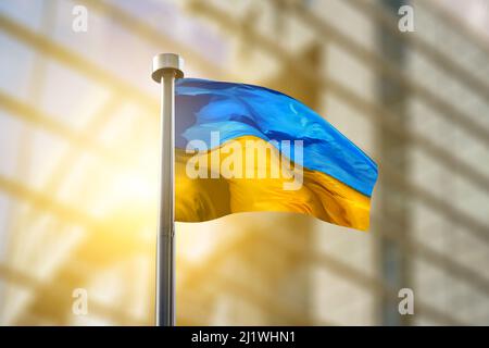 Flaggen der Ukraine und der Europäischen Union Stockfoto
