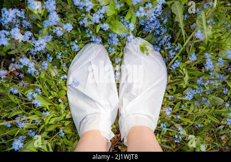 Feuchtigkeitsspendende Fußmaske für trockene Fersen. Frau trägt einmal feuchtigkeitsspendende Fußmaske Socken im Freien stehen zwischen wilden Blumen Myosotis vergessen- Stockfoto