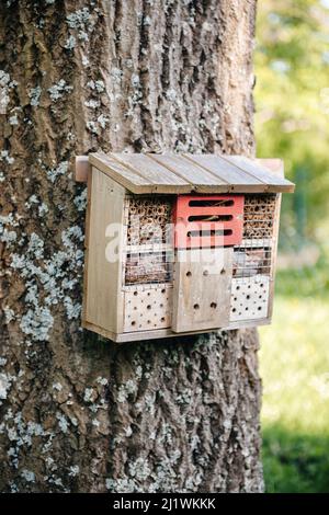 Insektenhotel auf dem großen Baumstamm - Insektenhotel oder Insektenhaus, ist eine von Menschen geschaffene Struktur, um Schutz für Insekten zu bieten Stockfoto