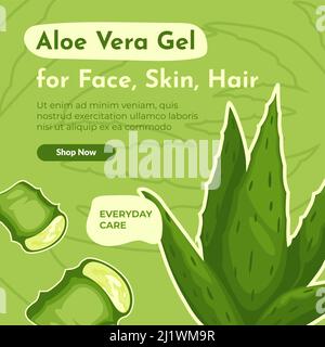Aloe Vera für Gesicht, Haut und Haar Behandlung Web Stock Vektor
