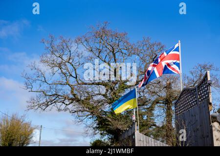 Die ukrainische und die Union Jack Flaggen fliegen in Solidarität und Unterstützung für die laufende Krise in der Ukraine Seite an Seite Stockfoto