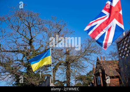 Die ukrainische und die Union Jack Flaggen fliegen in Solidarität und Unterstützung für die laufende Krise in der Ukraine Seite an Seite Stockfoto