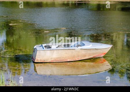 Festgemacht Plastikboot auf dem Wasser im Sumpf. Stockfoto