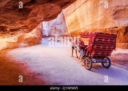 Petra, Jordanien. Ein Pferdewagen, der Touristen auf einer staubigen Straße in Petra, Wadi Rum, transportiert. Eine der größten archäologischen Stätten der Welt. Stockfoto