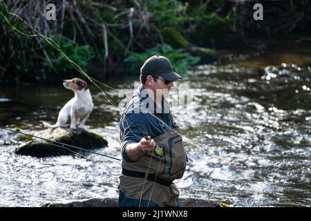 Angeln gegangen. Ein Fliegenfischer mit seinem Hund Fliegenfischen auf dem Fluss Teign in Fingle Bridge, Dartmoor, Devon, Großbritannien Stockfoto