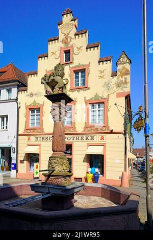 Der Löwenbrunnen´s Fischmarkt und die Hirsch Apotheke in Offenburg, Baden-Württemberg. Stockfoto