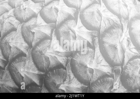 Abstrakt weiß und silber sind helles Muster grau mit dem Gradienten ist die mit Bodenwand Metall Textur weichen Tech diagonalen Hintergrund schwarz dunkel sauber Stockfoto