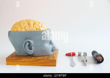 Sise Ansicht künstliches menschliches Gehirnmodell, Reflexhammer, Stimmgabel und Taschenlampe auf weißem Hintergrund. Stockfoto