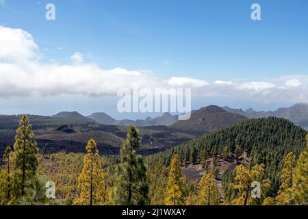 Vulkanische Landschaft mit Lavafeldern, die aus den Vulkanen Chinyero und Teide des Reserva Natural Especial del Chinyero mit strahlender Sonne ausgebrochen sind Stockfoto