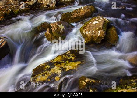 Stony Run ist ein kleiner Nebenfluss des Brodhead Creek, einem erstklassigen Forellenbach, der wiederum ein Nebenfluss des Delaware River in Pennsylvania ist Stockfoto