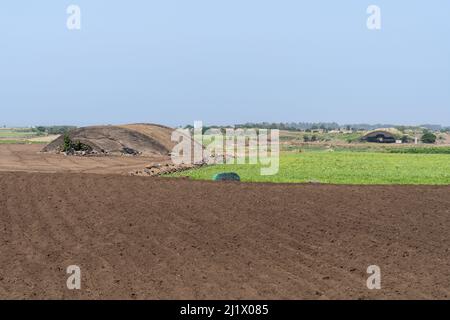 Flugzeugbunker aus der Zeit des Zweiten Weltkriegs auf dem Flugplatz Altteureu (Alddreu) auf der südlichen Jeju-Insel, Südkorea, gesehen während der Jeju Olle Trail Route 10. Stockfoto