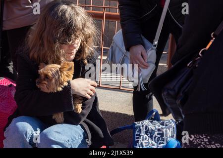 Lviv, Ukraine. 23. März 2022. Vertriebene ukrainische Flüchtlinge steigen in einen Zug, um in die Ukraine zurückzukehren, wo Angehörige ihrer Familie nicht mehr ausreisen können, in Lemberg, 23. März 2022. Am 24. Februar 2022 drangen russische Truppen in die Ukraine ein, was die so genannte schlimmere humanitäre Krise seit dem 2. Weltkrieg auslöste.(Foto: Simon Jankowski/Sipa USA) Quelle: SIPA USA/Alamy Live News Stockfoto