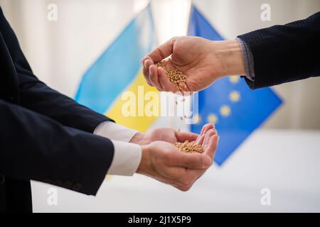 Die Ukraine exportiert Weizen nach Europa und nimmt die Ukraine in das Konzept der Europäischen Union auf. Stockfoto