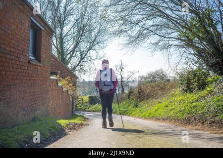 Rückansicht einer Wandererin mit Wanderstöcken, die einen Feldweg entlang gehen. Stockfoto