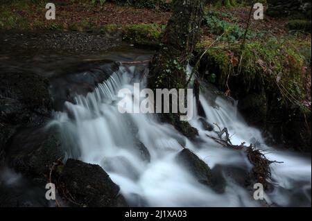 Nebenfluss der Afon Rhiwddolion. Stockfoto